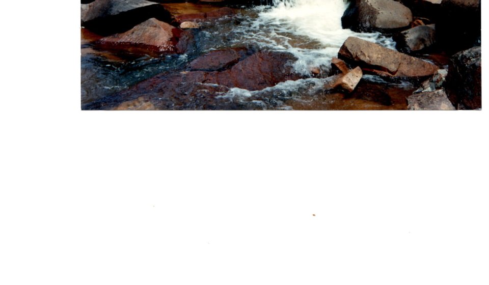 Photo by Mrs. B. Rovelli, Blue Mountains, NSW